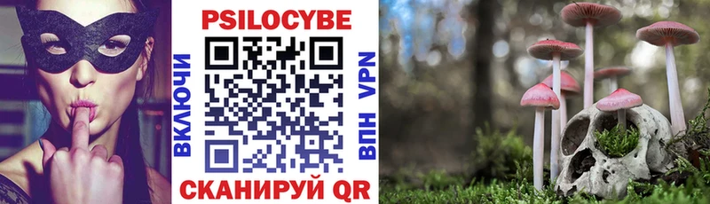 Галлюциногенные грибы прущие грибы  гидра как войти  Дмитровск 